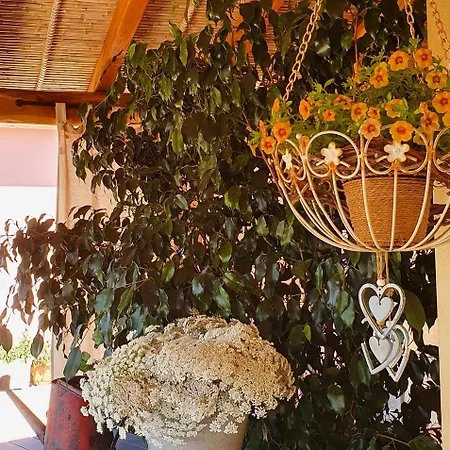 La Vela Bed & Breakfast *